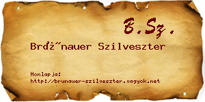Brünauer Szilveszter névjegykártya
